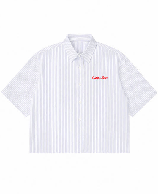Blue Striped Oxford Boxy Shirt